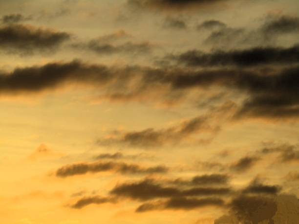 Nagareyama city, Chiba prefecture. Marvh. Dawn.