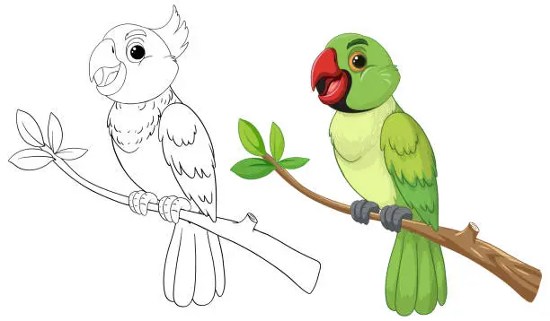 Vector illustration of Illustration of a colored and sketched parrot on branches.