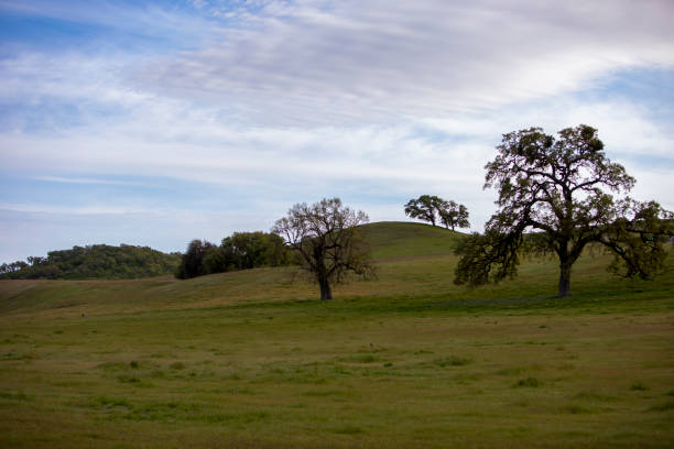 Central Coast California in the afternoon