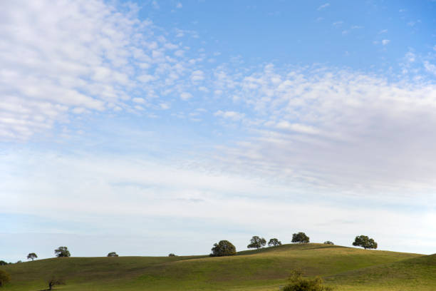 Central Coast California in the afternoon