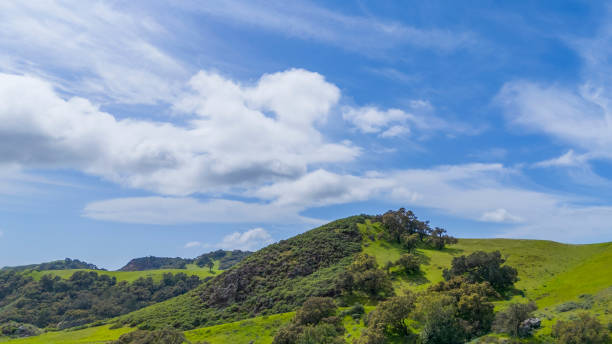 istock Green Hills and Oak Trees 2118815899