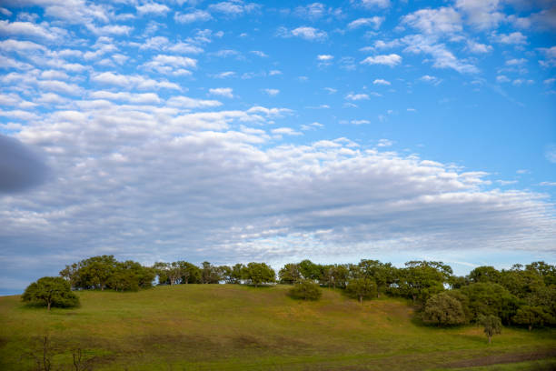 Central Coast California in the afternoon
