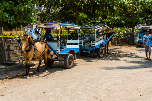 A traditional horse cart (Cidomo) waiting for tourists on the Indonesian Gili islands off the coast of Lombok. The Gili Islands have no motorised transport.