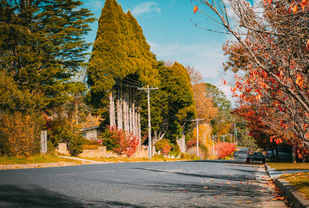 istock Trees by road against sky during autumn-Leura 2118852168