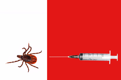 A closeup of a tick on a white background. Syringe on tap background.
