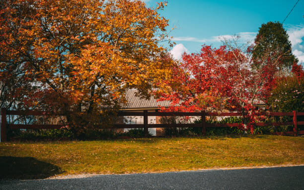 istock Trees by road against sky during autumn-Leura 2118944087