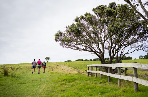People walking on green meadows at Shakespear Regional Park. Auckland Region.