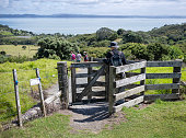 People walking through the farm gate on a hiking track. Electric  Fence sign hanging on the fence. Shakespear Regional Park. Auckland.
