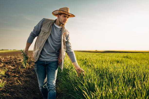 istock farmers outdoor on field 2118983647