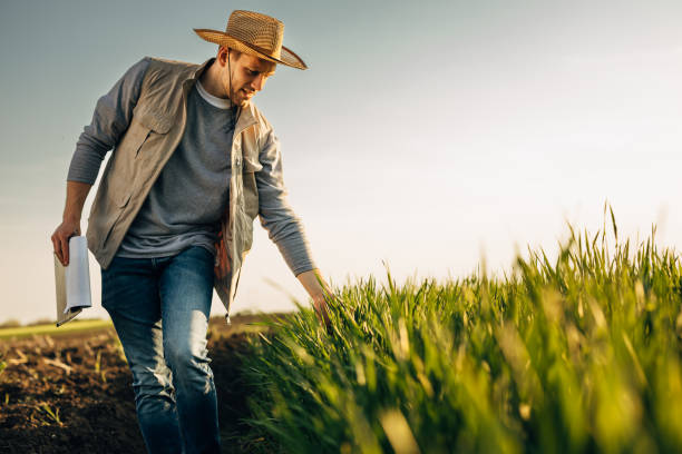 istock farmers outdoor on field 2118983650