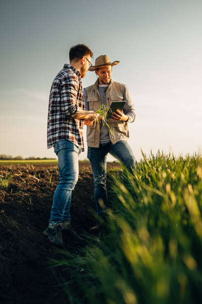 istock farmers outdoor on field 2118983652