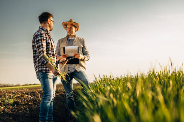 farmers outdoor on field