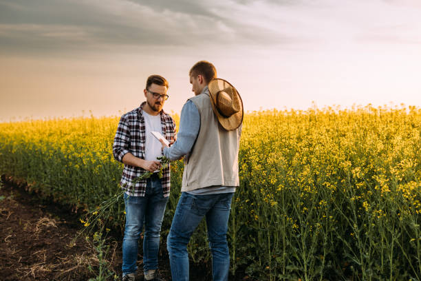 istock farmers outdoor on field 2118984101