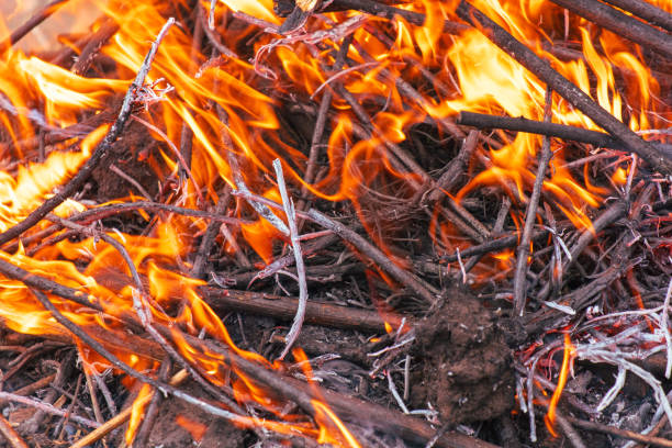 istock Burning firewood in a campfire, close-up 2119034679