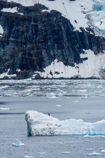 istock Landscape of the Antarctic Peninsula 2119066799