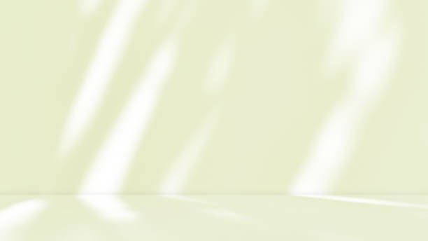 istock Empty green pastel room studio with sunlight effect shadow of leaves. 2119098060