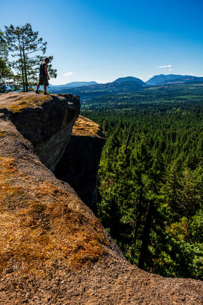 istock man standing on a hill during hiking in a forest in British Columbia in Canada 2119112832