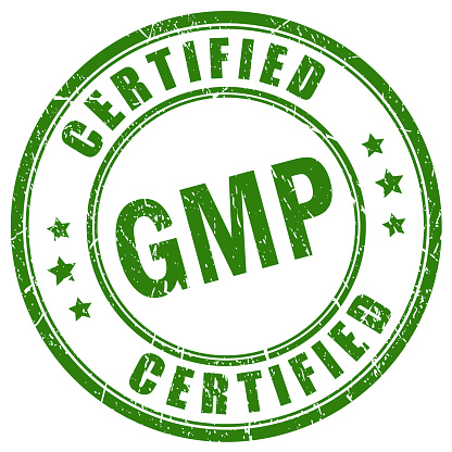 Gmp certified vector rubber stamp on white background