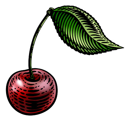 Cherry berry fruit illustration in a vintage retro woodcut etching style.