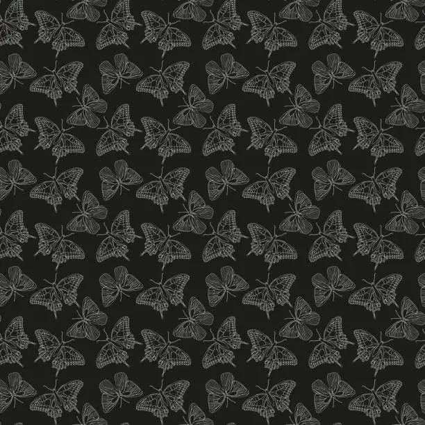 Vector illustration of Butterflies black and white ink line vector seamless pattern background for textile, fabric, wallpaper, scrapbook. Insects with wings drawing for surface design.