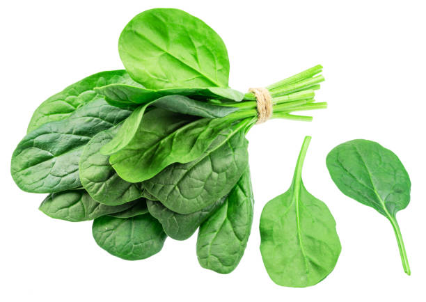 istock Bundle of green fresh spinach leaves isolated on white background. 2119230465