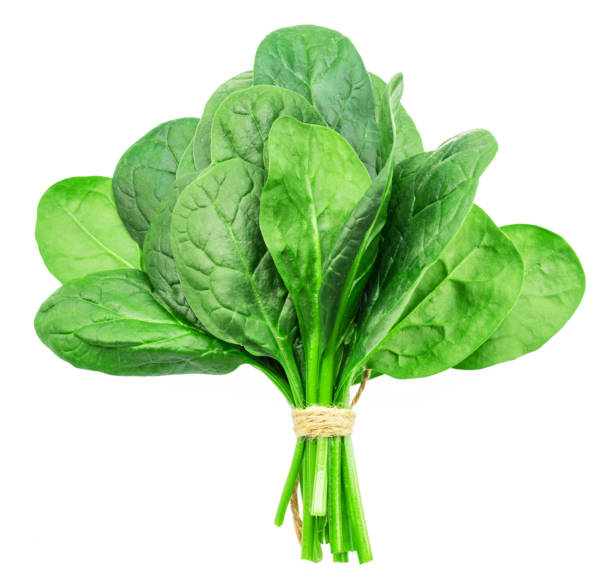 istock Bundle of green fresh spinach leaves isolated on white background. 2119230474