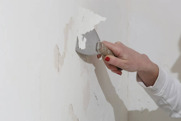 istock Saltpeter on the wall problem. Woman is using a scraper to scrape and remove all loose paint and plaster that is in poor condition, until a firm surface is achieved. 2119232642