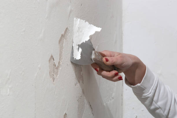 istock Saltpeter on the wall problem. Woman is using a scraper to scrape and remove all loose paint and plaster that is in poor condition, until a firm surface is achieved. 2119236798