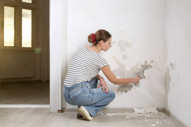 istock Saltpeter on the wall problem. Woman is using a scraper to scrape and remove all loose paint and plaster that is in poor condition, until a firm surface is achieved. 2119246635