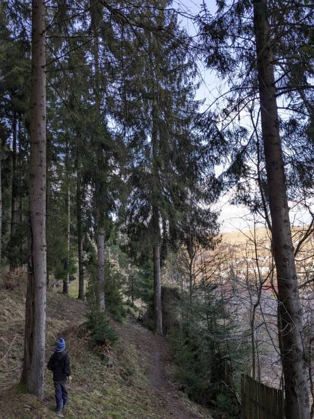 istock A 6-year-old boy walks through a coniferous forest . Photo. 2119248719