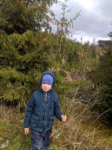 Boy with branches of flowering seals in a spruce forest, family vacation.