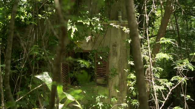Abandoned concrete building or house in the middle of thick tropical forest