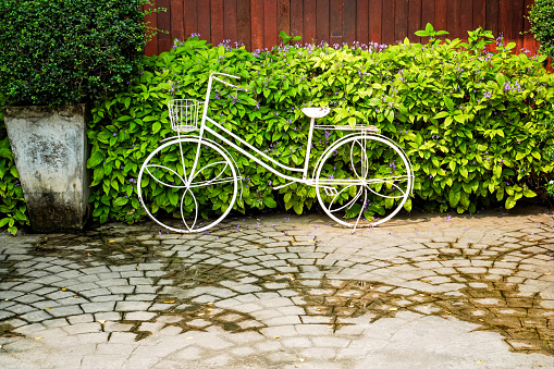 A close-up image of an unused white bicycle is decorated in an ornamental garden to create beauty and style.