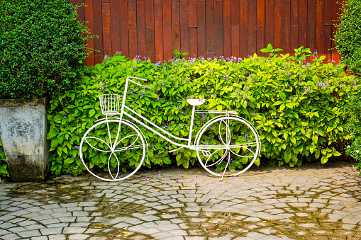 Images of unused white bicycles are decorated in the ornamental garden to create beauty and style.