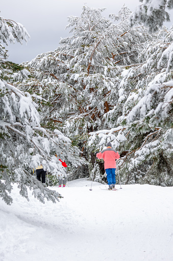 cross-country skier in Puerto de Cotos in the mountains of Madrid