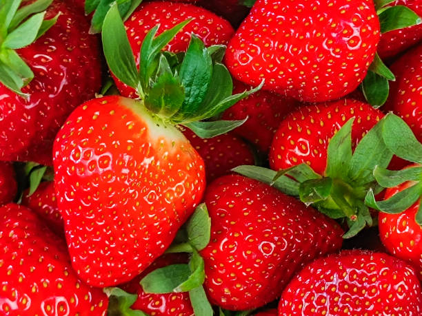 istock pile of strawberries, close-up 2119455939
