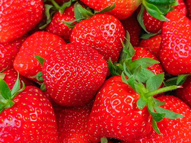 istock pile of strawberries, close-up 2119455951