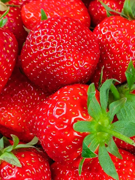 pile of strawberries, close-up