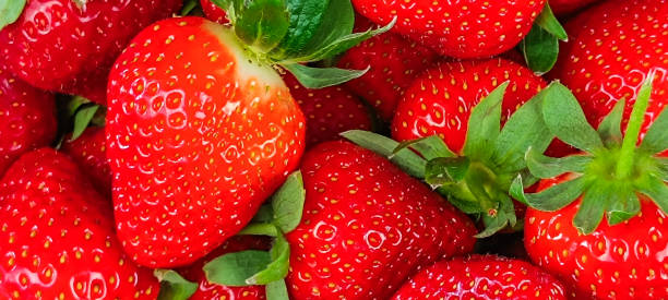 istock pile of strawberries, close-up 2119456970