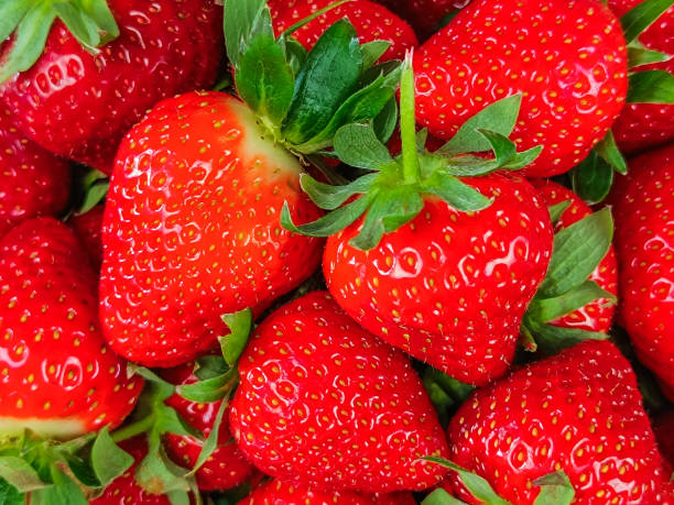 istock pile of strawberries, close-up 2119456980