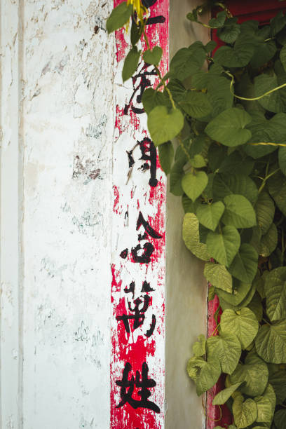 istock Large plant cascading over the building wall adorned with Chinese characters. 2119473193