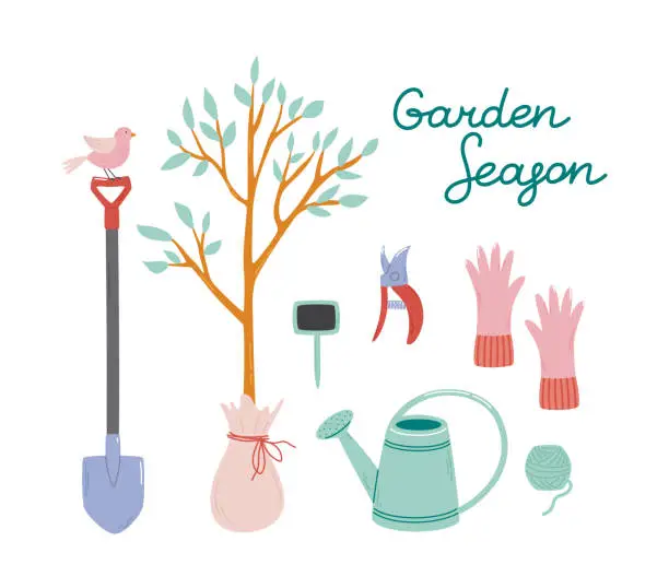 Vector illustration of Illustration of tools for planting a tree