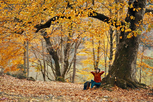 woman in autumn forest sitting under a tree landscape yellow leaves model. High quality photo