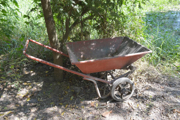 istock Wheel Barrow in garden 2119549386