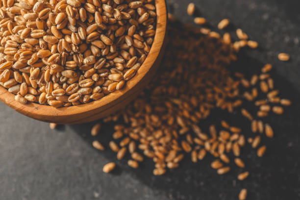 istock Wheat grain in a wooden plate on a dark background 2119551984