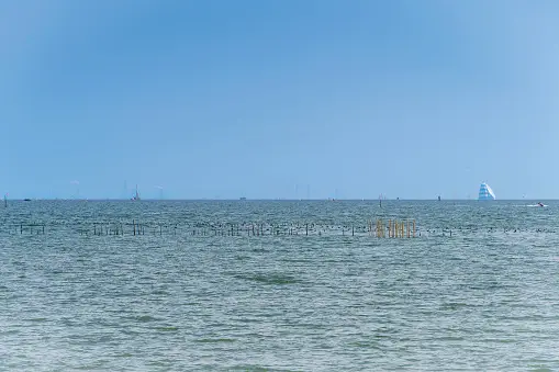 Parc Kasai Rinkai Photos Télécharger des images gratuites sur Unsplash