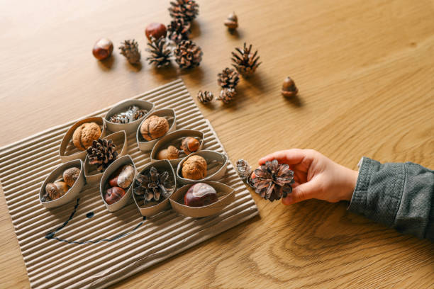 istock Montessori and Sensory Development, A child plays with natural materials 2119571941