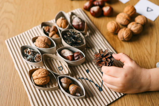 istock Montessori and Sensory Development, A child plays with natural materials 2119571948