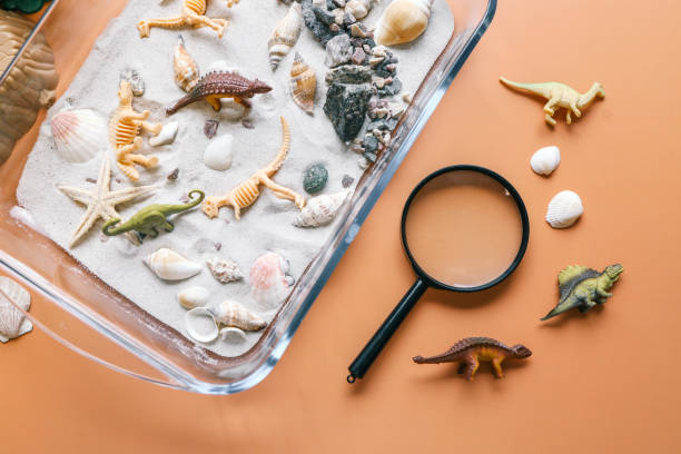 istock Sensory activity of a child, idea for an activity, top view 2119591336
