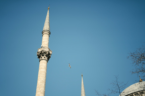 View of historical mosque minaret and birds flying in the sky